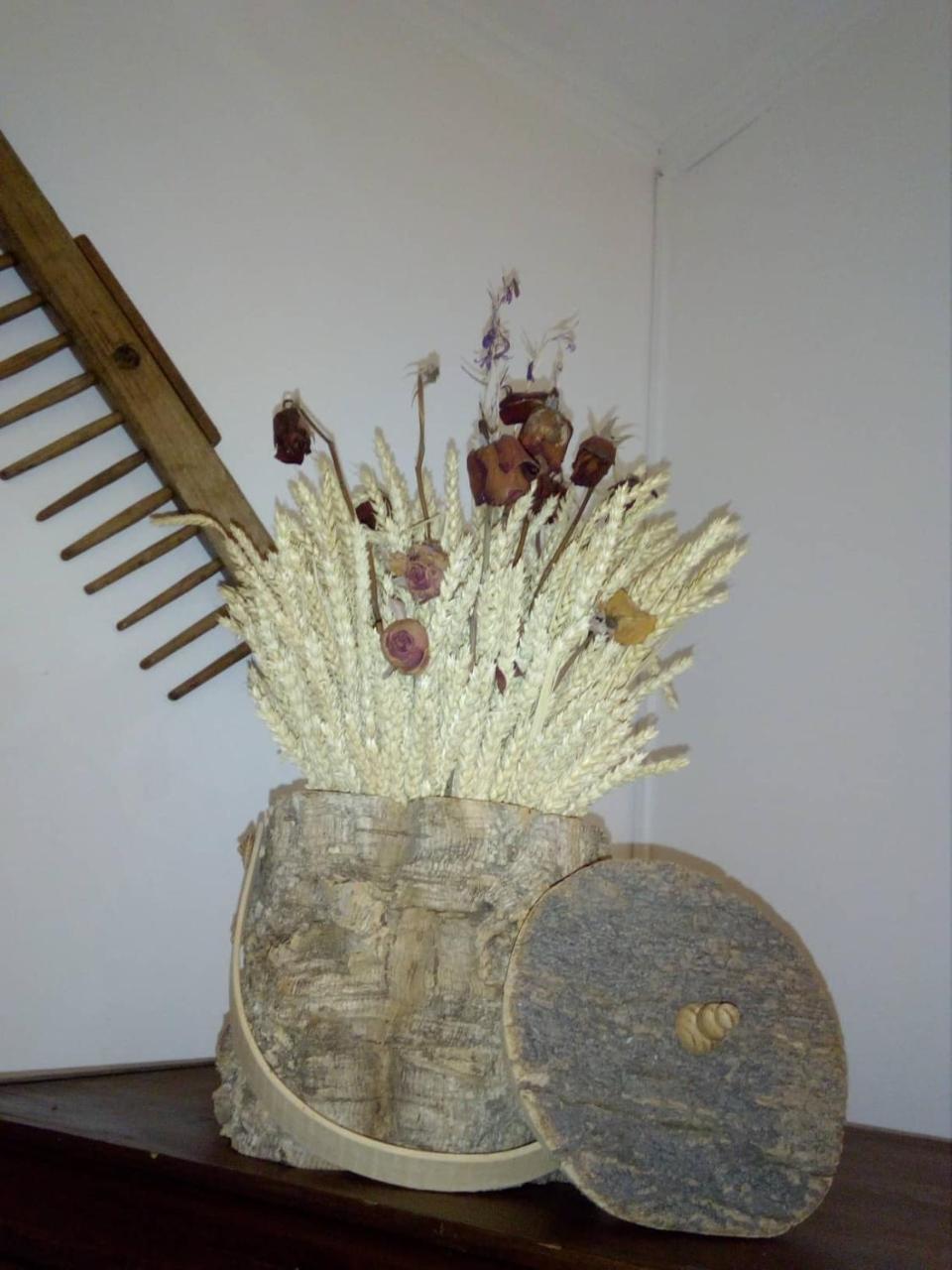 MourãoCasa Esquivel别墅 外观 照片