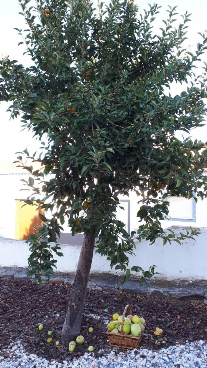 MourãoCasa Esquivel别墅 外观 照片